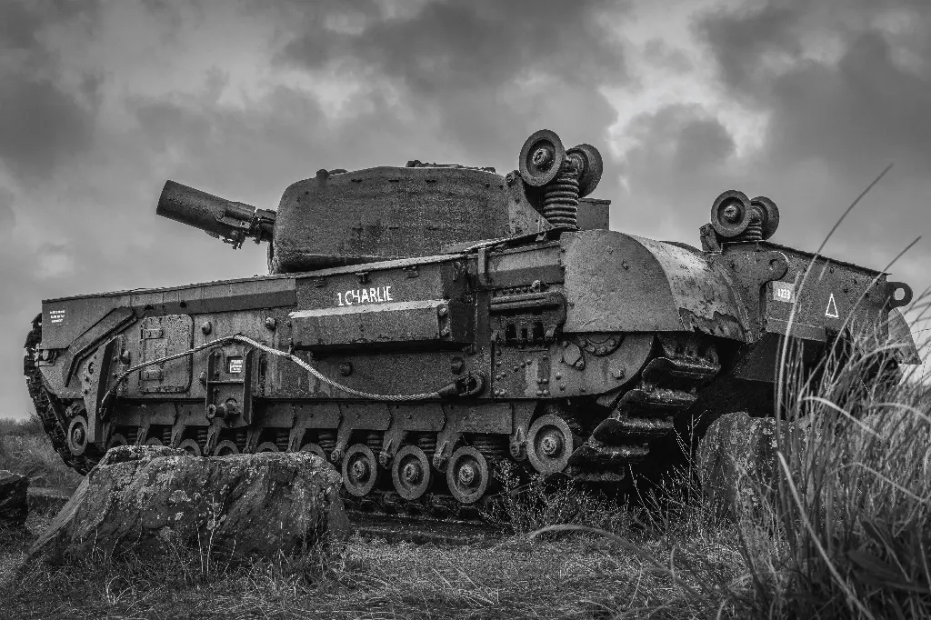 "One Charlie" (Tirage 20 x 30 cm (sans marges blanches))